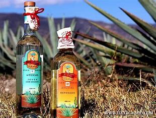 mezcal